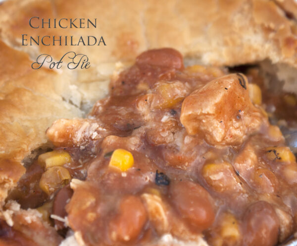 FROZEN Chicken Enchilada Pot Pie